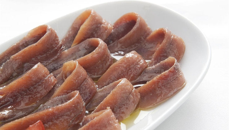 Anchoas en aceite - Lata de 28 oz